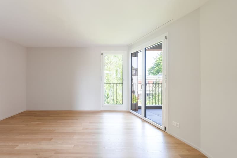 Exklusive 5.5-Zimmer-Attikawohnung mit vier Dachterrassen (8)