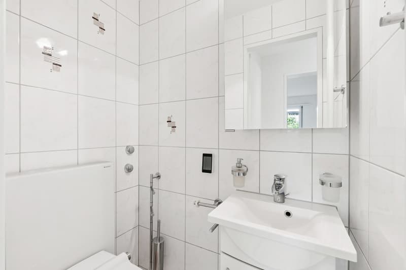 Raum für Ideen – 4.5-Zimmerwohnung mit Potenzial in Zürich Seebach (12)