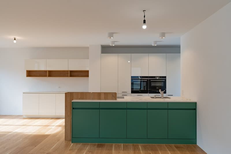 Einmalig: Neubau im Kleid einer historischen Scheune (5)