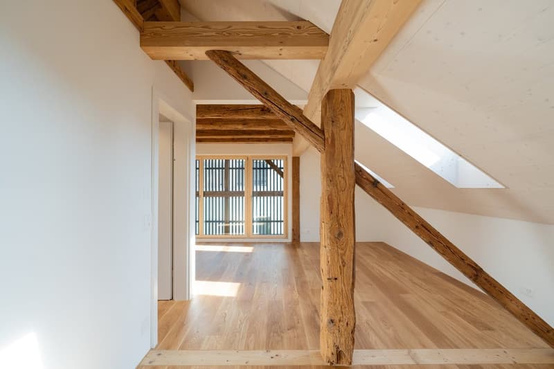 Einmalig: Neubau im Kleid einer historischen Scheune (17)
