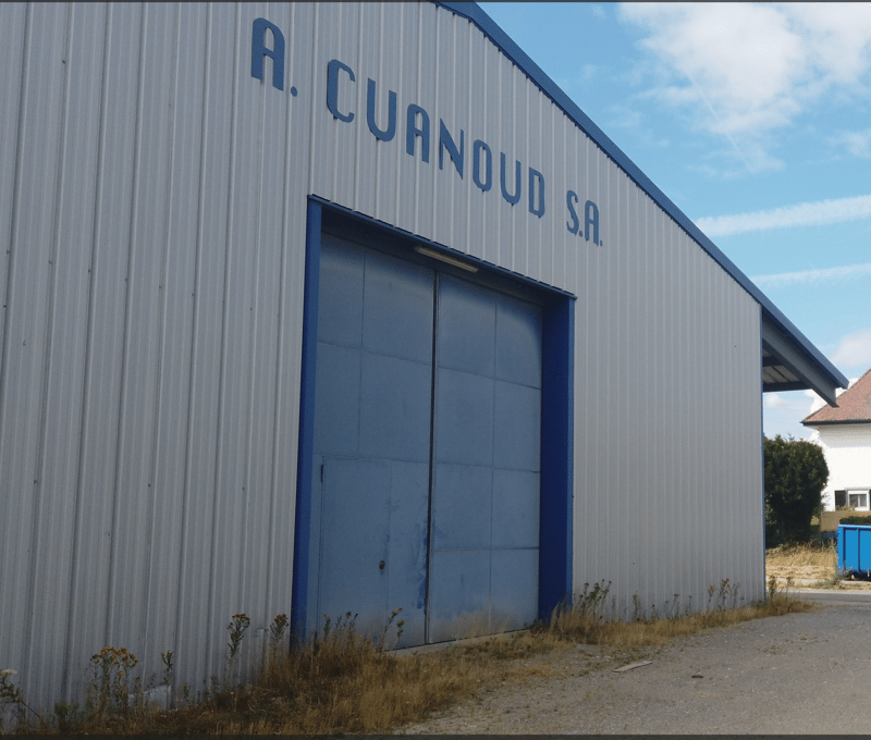 Halle/Lager - modulare Flächen von 200 bis 800 m² in Granges-Marnand-Zentrum in der Romandie (6)