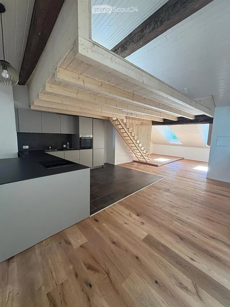Prächtiges 93m2 Loft in der historischen Altstadt von Freiburg renoviert (1)