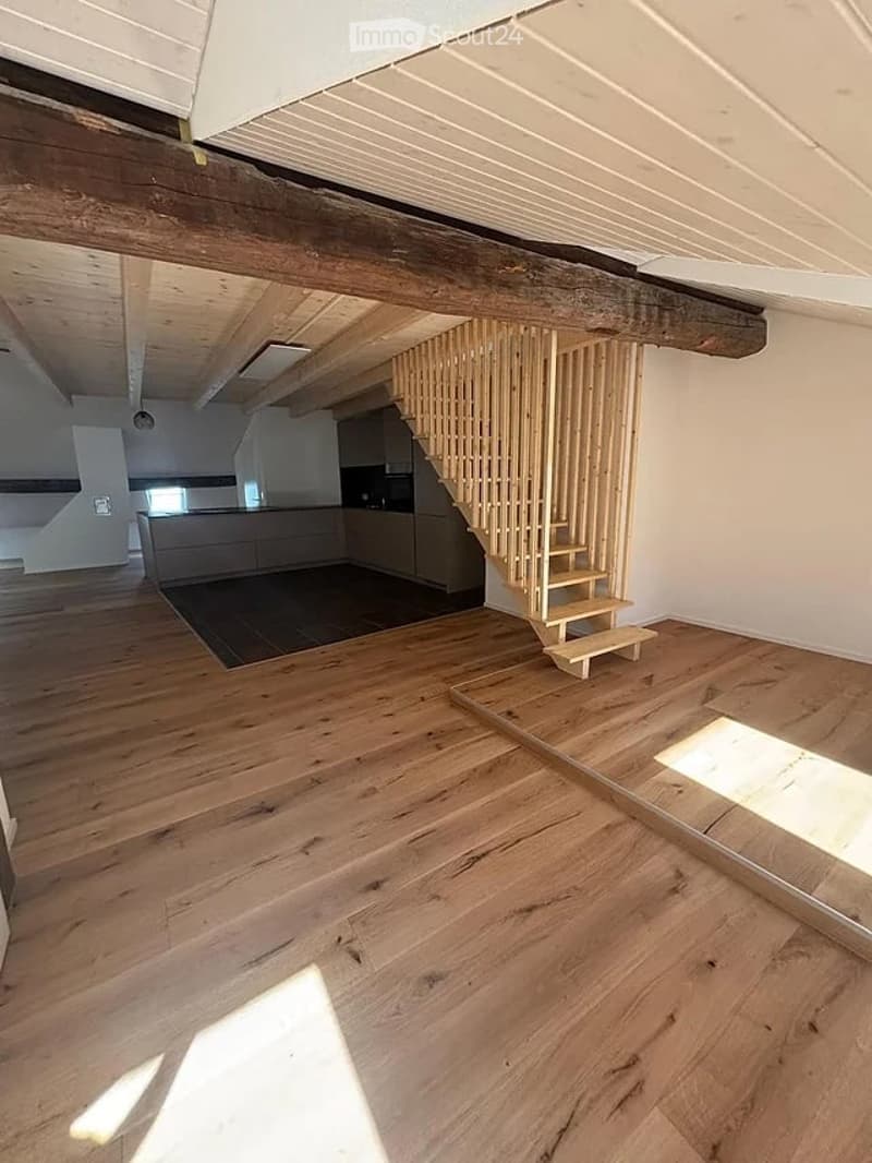 Prächtiges 93m2 Loft in der historischen Altstadt von Freiburg renoviert (5)