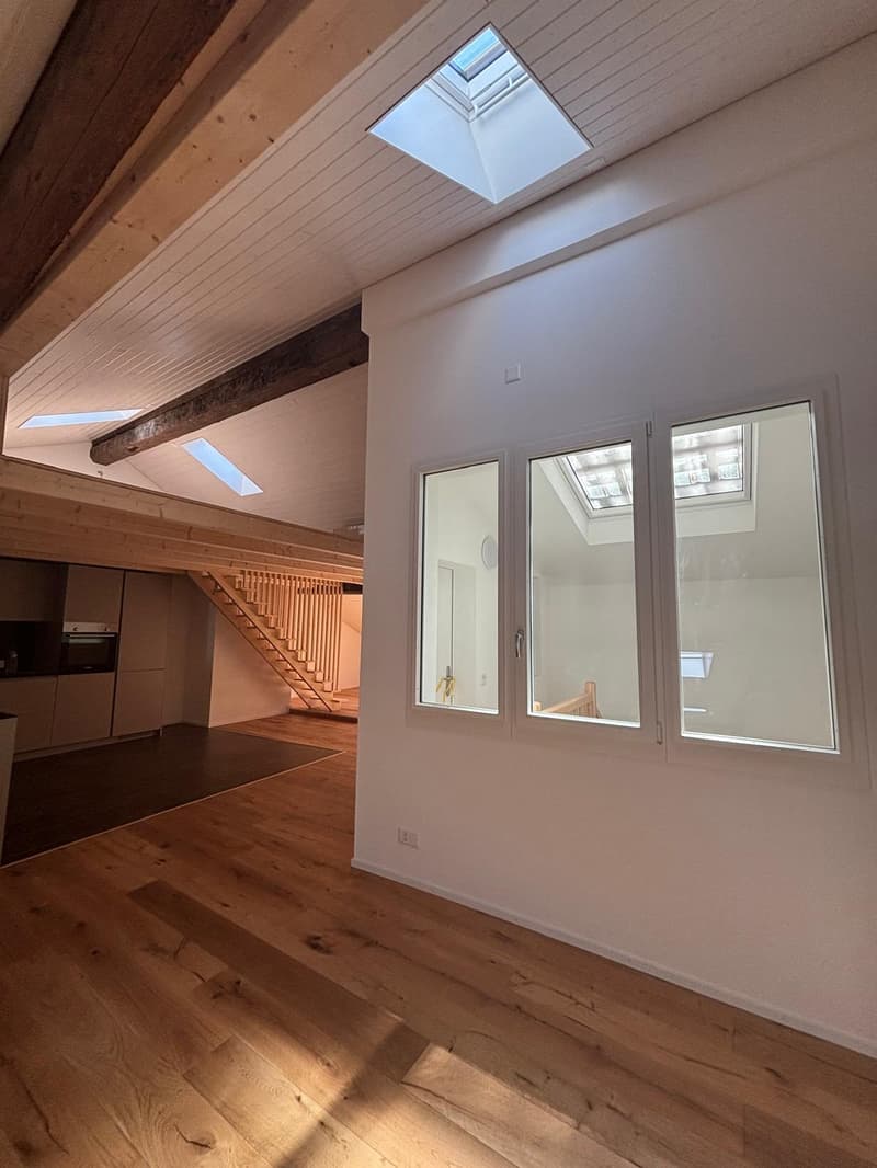 Prächtiges 93m2 Loft in der historischen Altstadt von Freiburg renoviert (2)