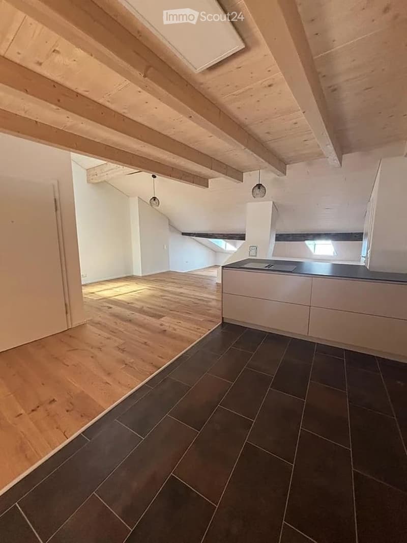 Prächtiges 93m2 Loft in der historischen Altstadt von Freiburg renoviert (7)