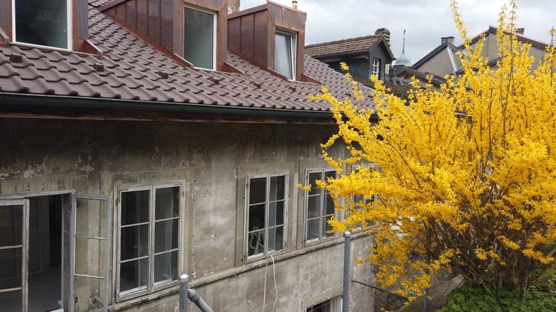 Prächtiges 93m2 Loft in der historischen Altstadt von Freiburg renoviert (15)