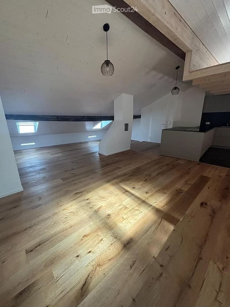 Prächtiges 93m2 Loft in der historischen Altstadt von Freiburg renoviert (6)