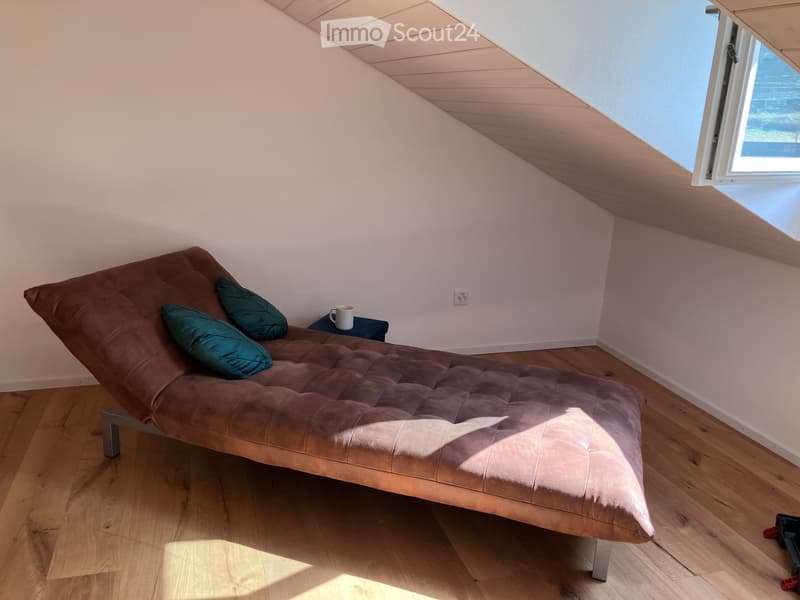 Prächtiges 93m2 Loft in der historischen Altstadt von Freiburg renoviert (8)
