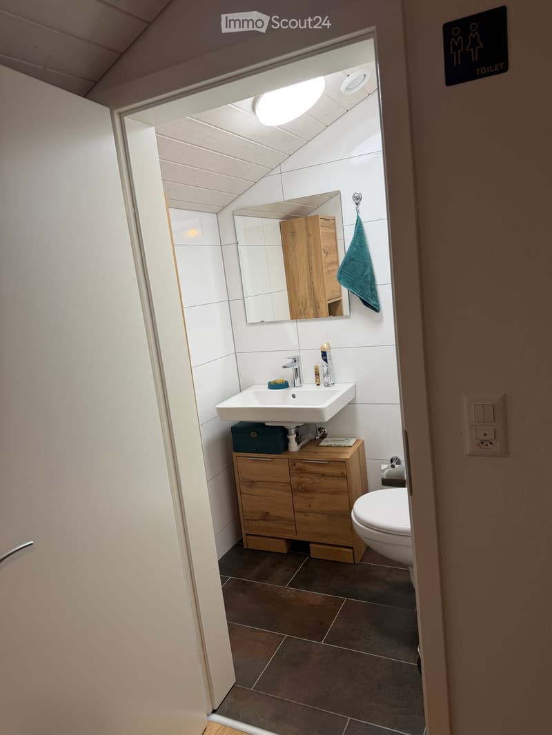Prächtiges 93m2 Loft in der historischen Altstadt von Freiburg renoviert (9)