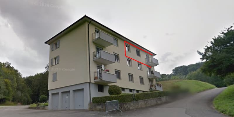 Appartement 4,5 pièces rénové avec 2 balcons et un grand jardin commun (3)