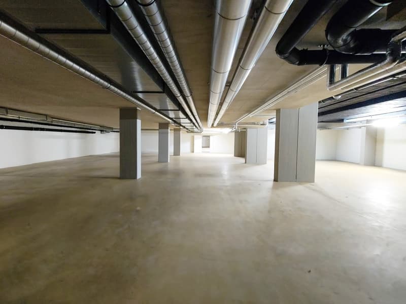 1’099 m² zusammenhängende Lagerfläche in Basel (1)