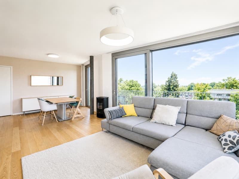 À VENDRE 4.5 PCS EN ATTIQUE AU GRAND-LANCY (2)