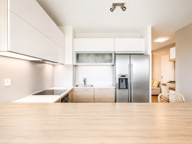 À VENDRE 4.5 PCS EN ATTIQUE AU GRAND-LANCY (5)