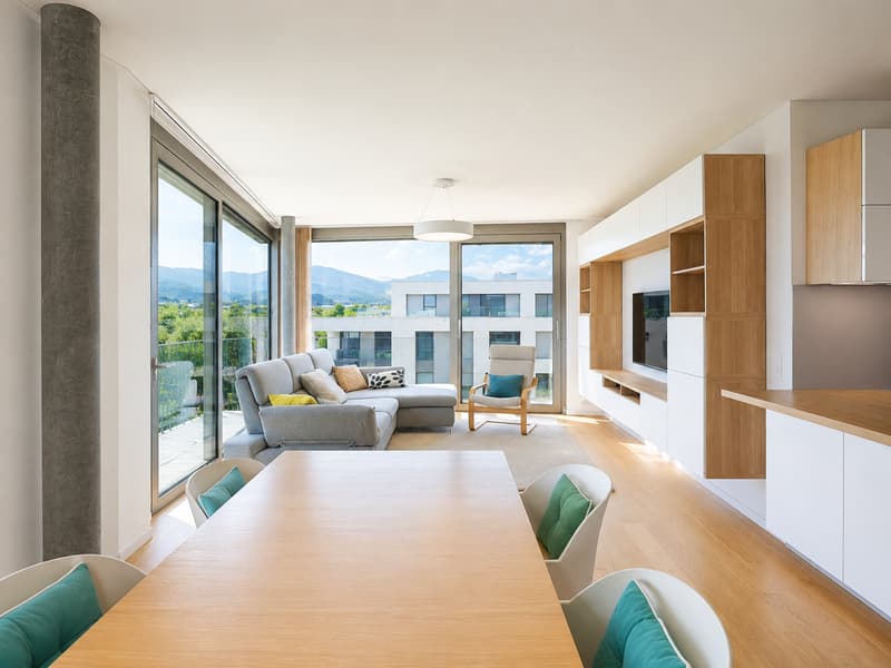 À VENDRE 4.5 PCS EN ATTIQUE AU GRAND-LANCY (1)
