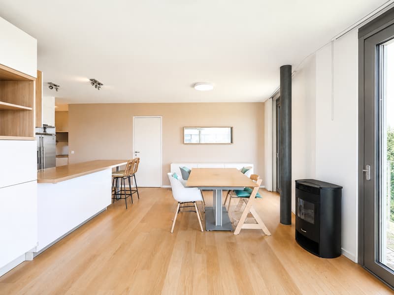 À VENDRE 4.5 PCS EN ATTIQUE AU GRAND-LANCY (4)