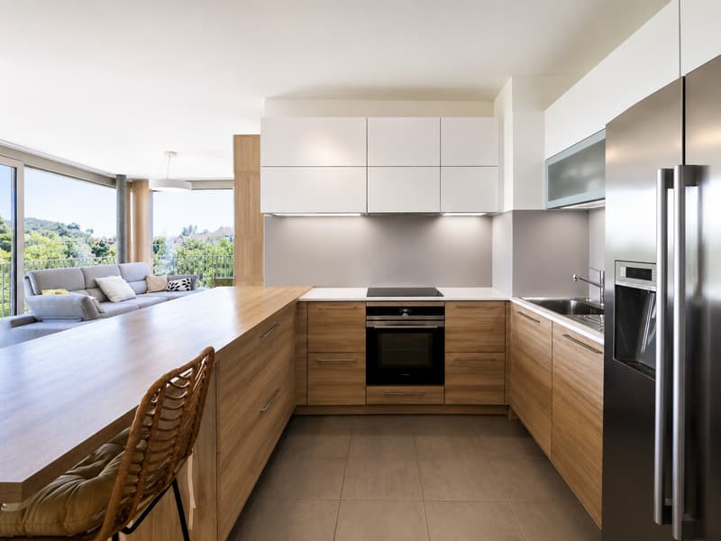 À VENDRE 4.5 PCS EN ATTIQUE AU GRAND-LANCY (6)