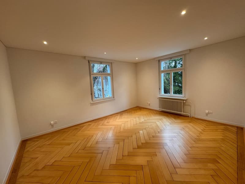 Charmante 5.5-Zimmer-Altbauwohnung an der Freiestrasse in Weinfelden (5)