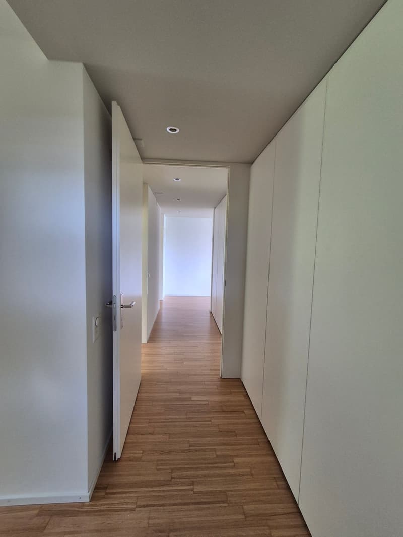 Modernes Wohnen in Seenähe in Bäch (Wollerau) (9)