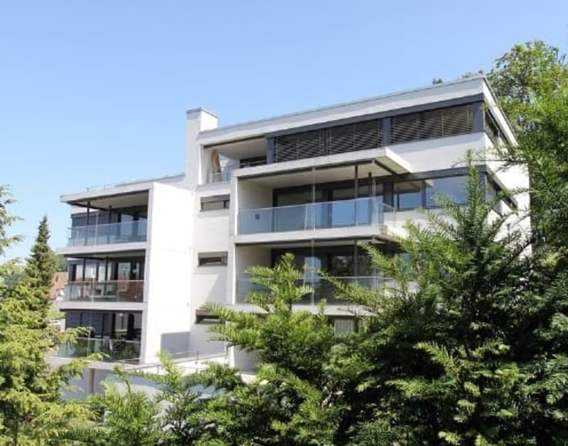 Modernes Wohnen in Seenähe in Bäch (Wollerau) (1)