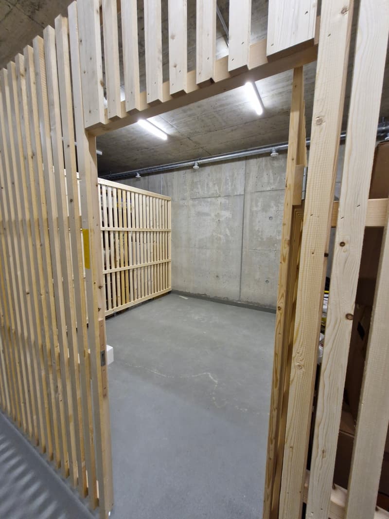 The last 4.5 room apartment is looking forward to its new owners. (9)