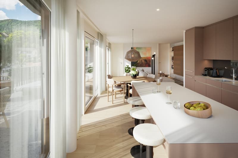 Exclusive attic apartments with breathtaking views in Grenchen (7)
