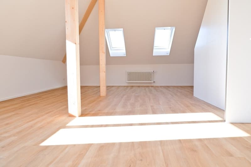 Appartement charmant de 2,5 pièces dans le quartier Breitenrain de Berne (5)