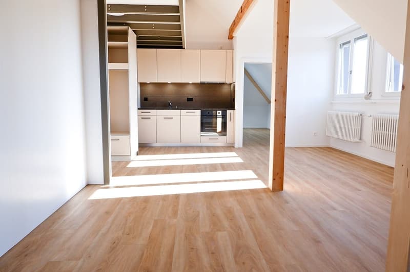 Appartement charmant de 2,5 pièces dans le quartier Breitenrain de Berne (2)