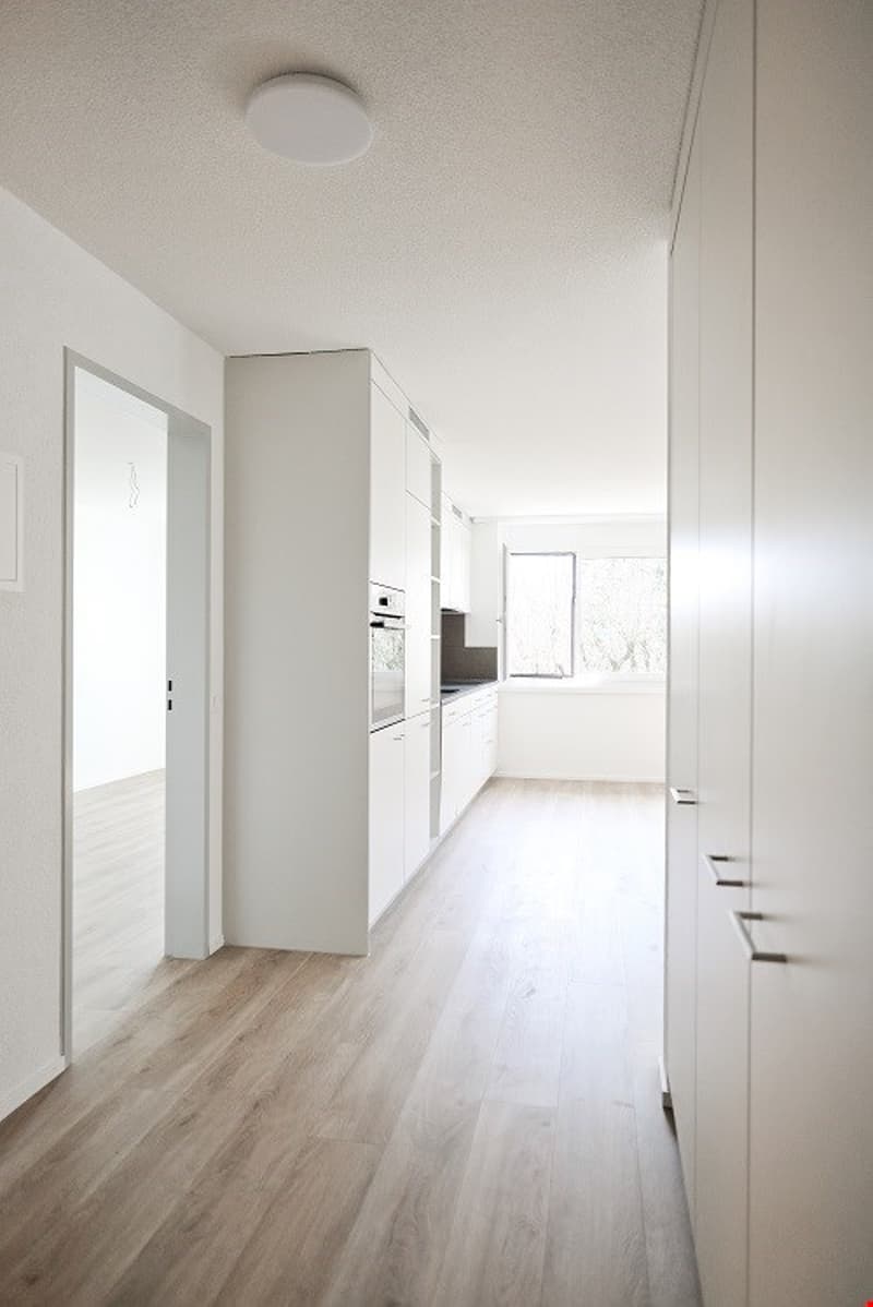 Sonnige, grosszügige und totalsanierte Wohnung (1)