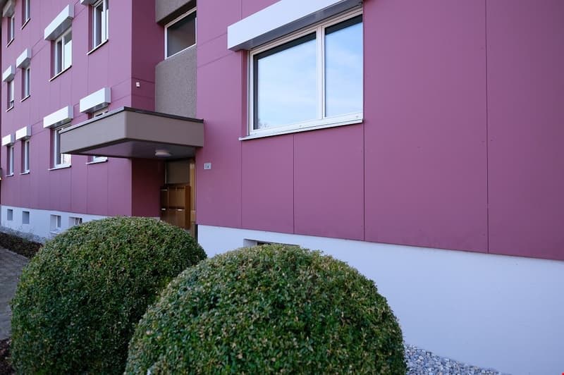 Sonnige, grosszügige und totalsanierte Wohnung (14)