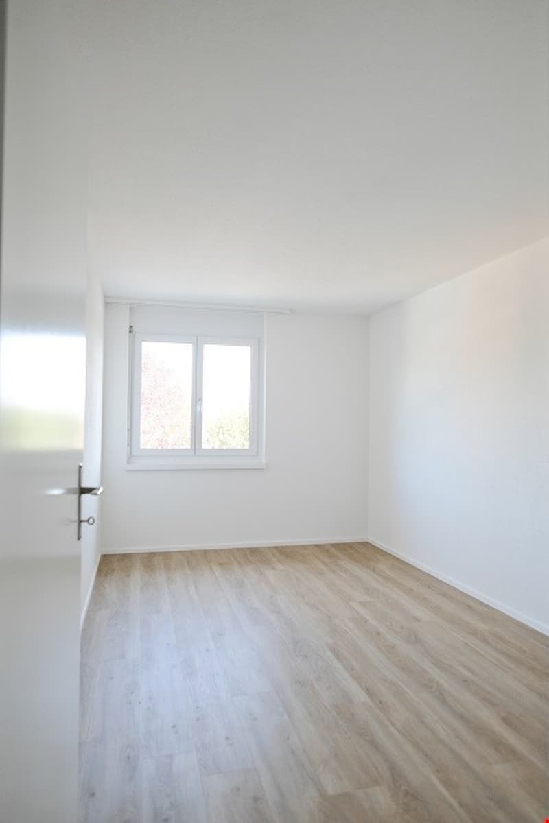 Sonnige, grosszügige und totalsanierte Wohnung (11)