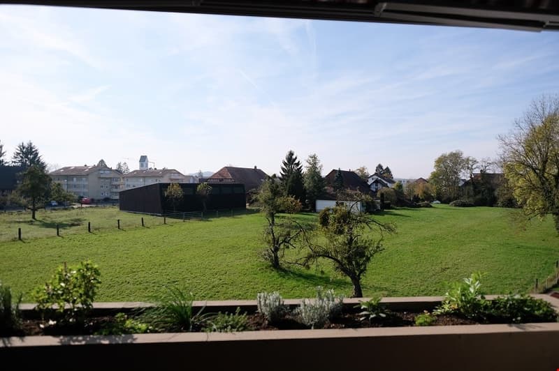Sonnige, grosszügige und totalsanierte Wohnung (13)