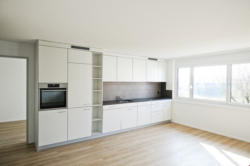 Sonnige, grosszügige und totalsanierte Wohnung (2)