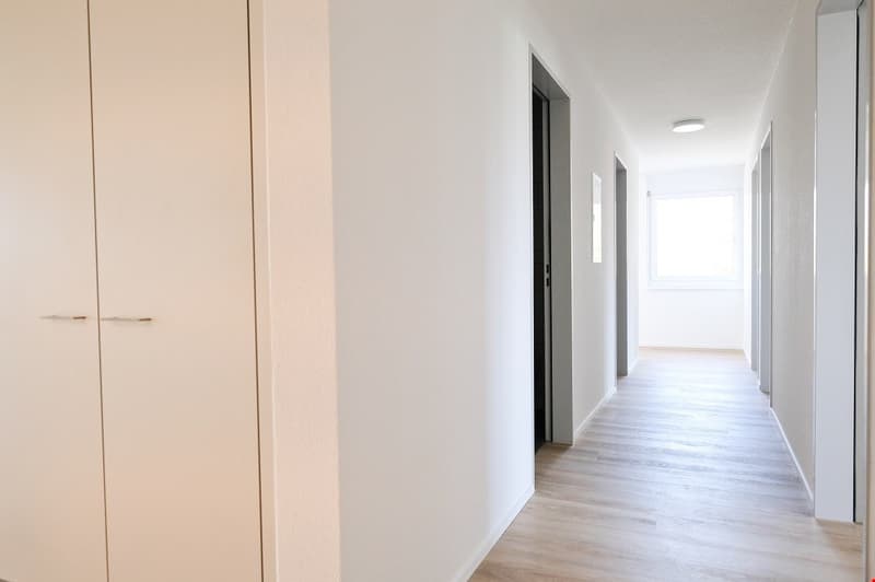 Sonnige, grosszügige und totalsanierte Wohnung (9)