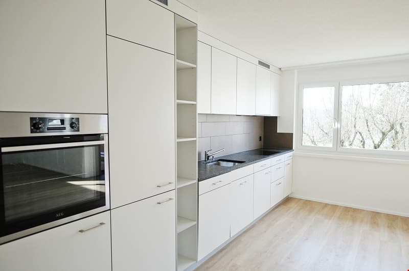 Sonnige, grosszügige und totalsanierte Wohnung (5)