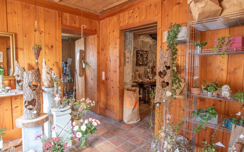 Stöckli mit Laden, Wohnung und Ausbaumöglichkeit (7)