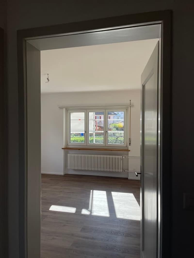 sanierte Wohnung in wunderschöner Solothurner Vorstadt (11)