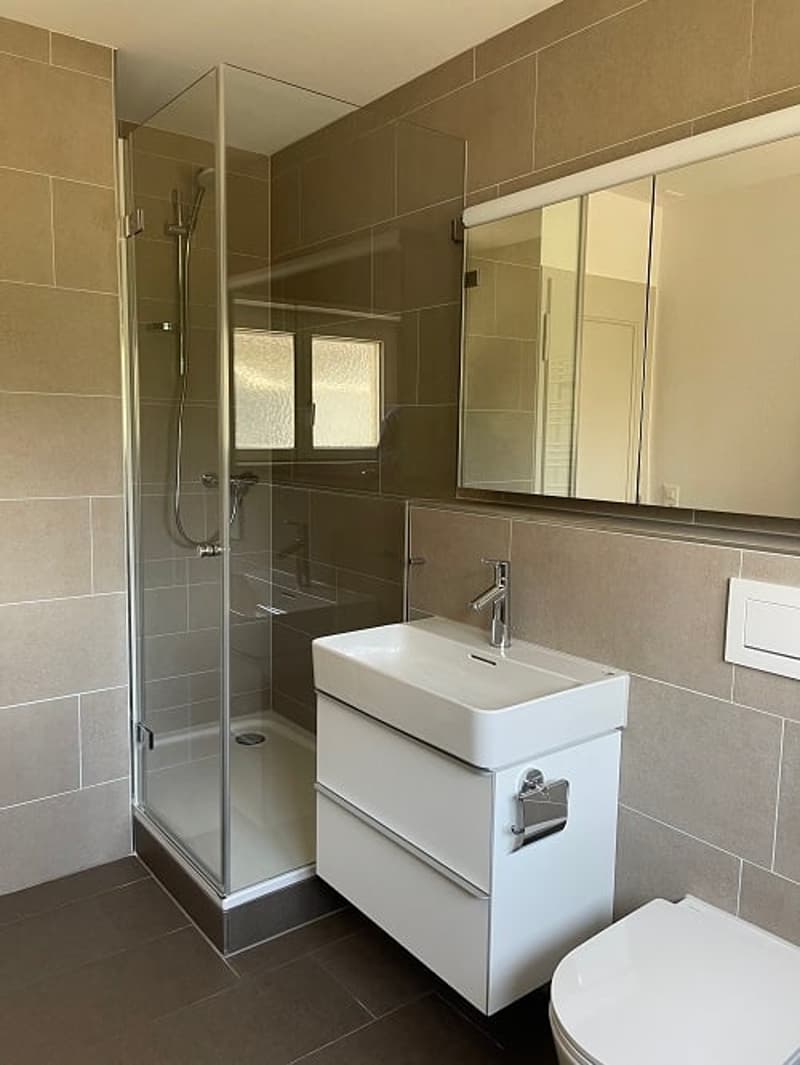 sanierte Wohnung in wunderschöner Solothurner Vorstadt (5)