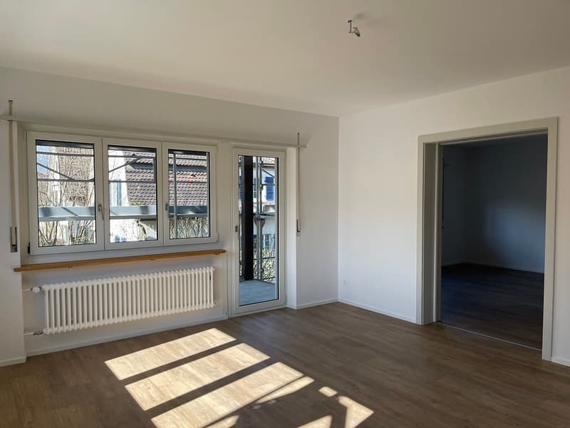 sanierte Wohnung in wunderschöner Solothurner Vorstadt (10)