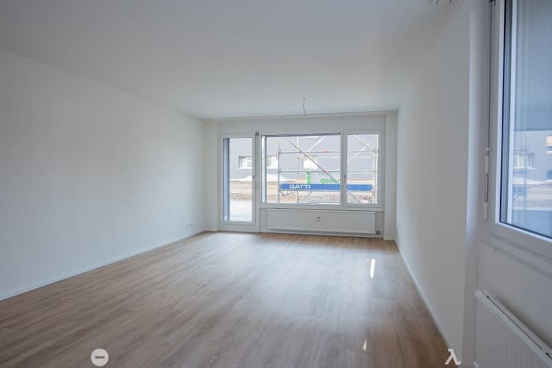 Sanierte Wohnung mit grosser Terrasse zu vermieten (7)