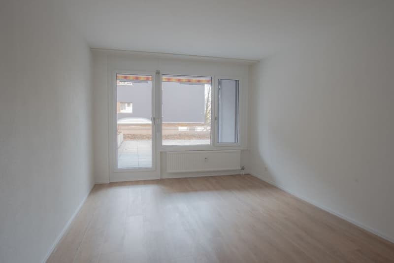 Sanierte Wohnung mit grosser Terrasse zu vermieten (8)