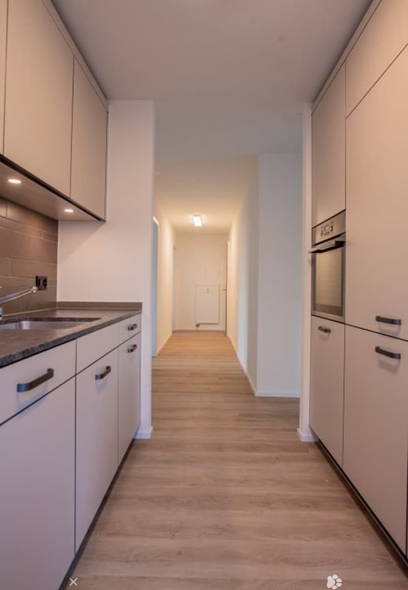Sanierte Wohnung mit grosser Terrasse zu vermieten (2)