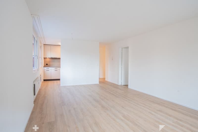 Sanierte Wohnung mit grosser Terrasse zu vermieten (6)