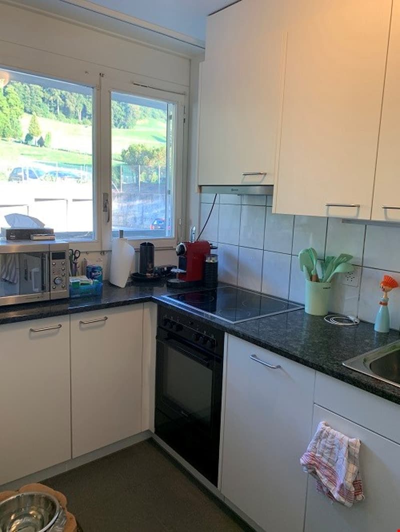 Wir vermieten eine 3.5 - Zimmerwohnung mit 2 Balkonen (2)