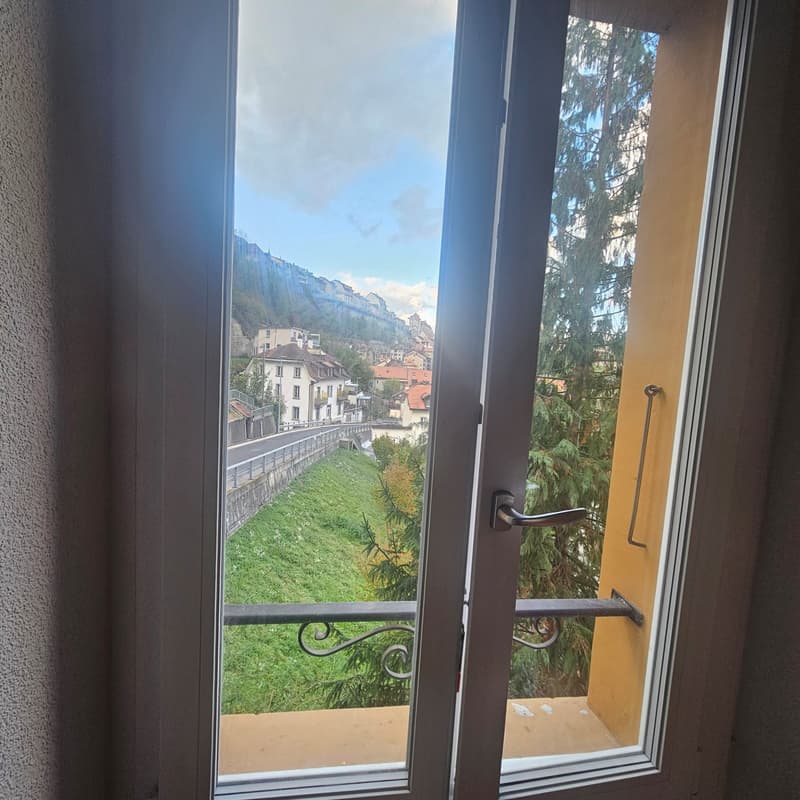 Charmante Wohnung in der Freiburger Altstadt (5)