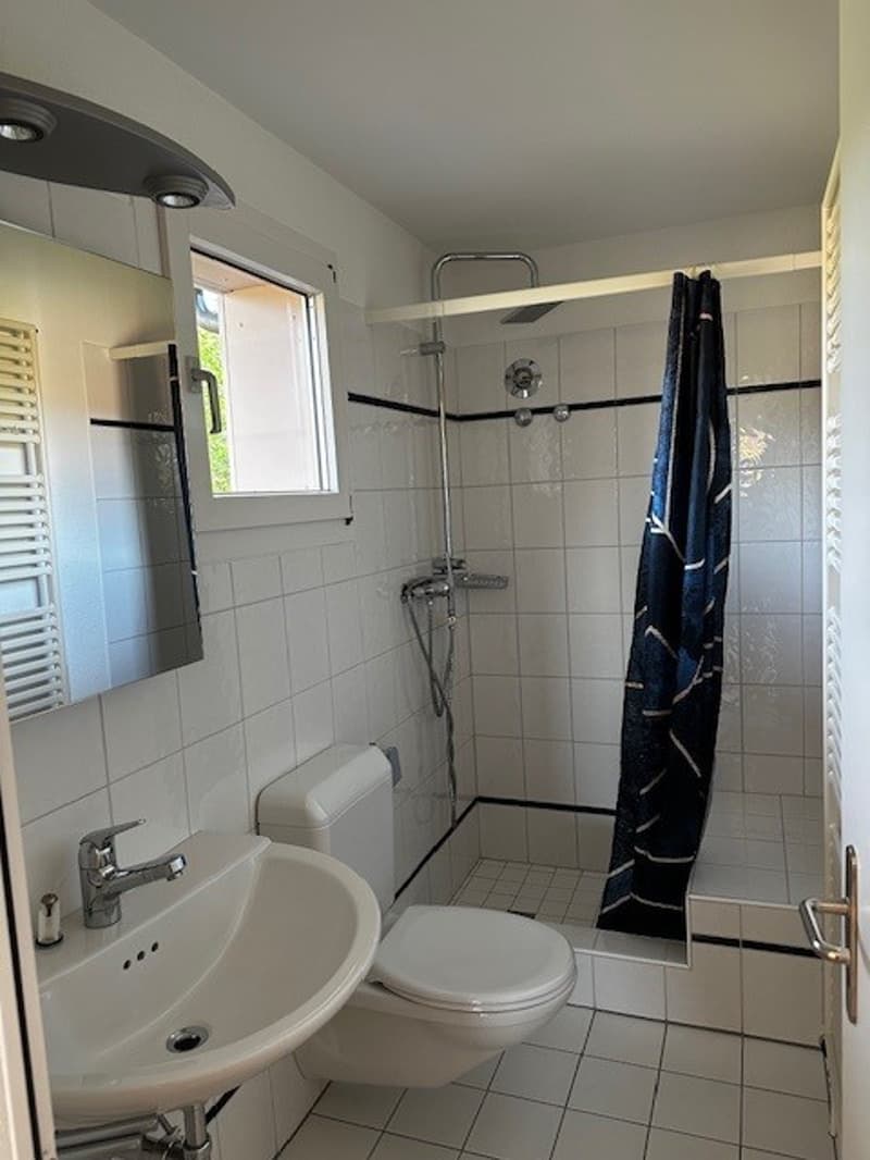 tiled bathroom with toilet, sink, and shower