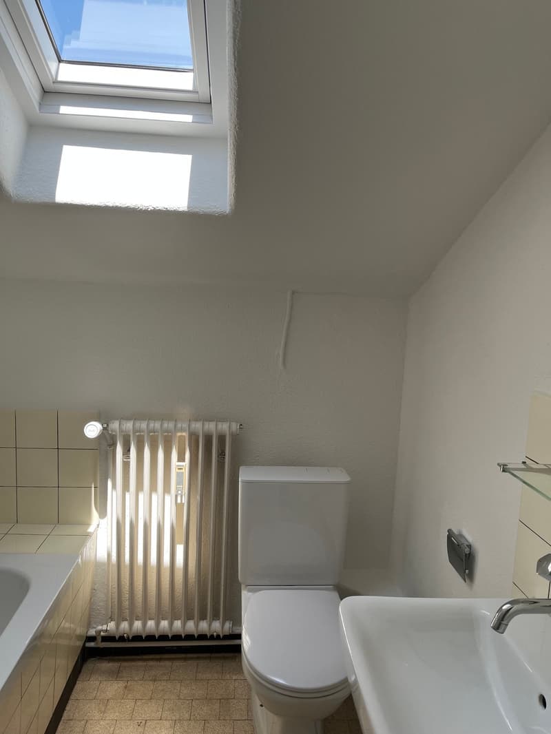 Appartamento mansardato monostanza in zona verde (5)