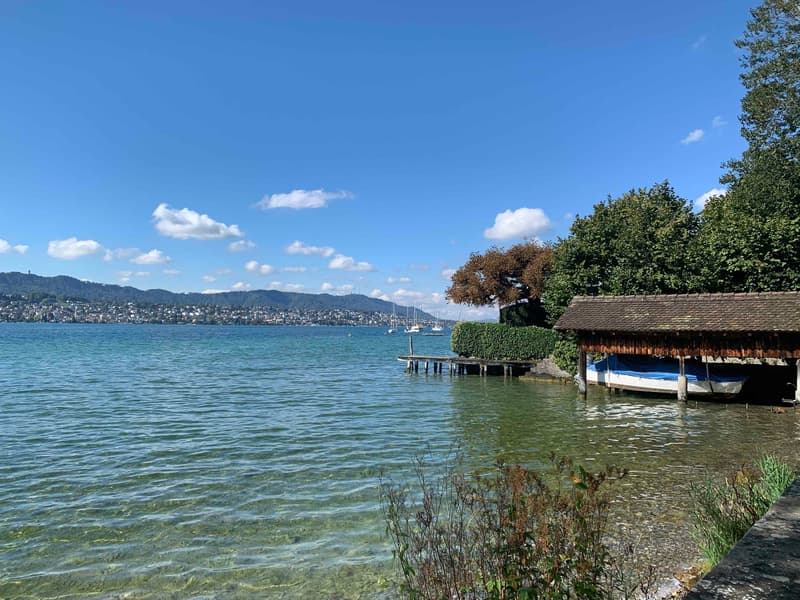 Erstbezug nach Sanierung: Einzigartige 5.5-Zi.-Duplexwohnung direkt am Zürichsee (1)