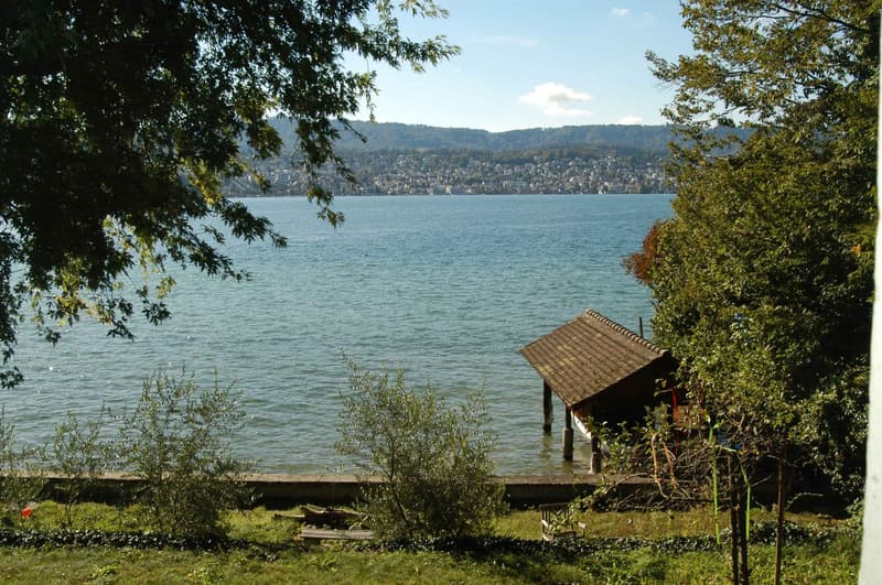 Erstbezug nach Sanierung: Einzigartige 5.5-Zi.-Duplexwohnung direkt am Zürichsee (2)
