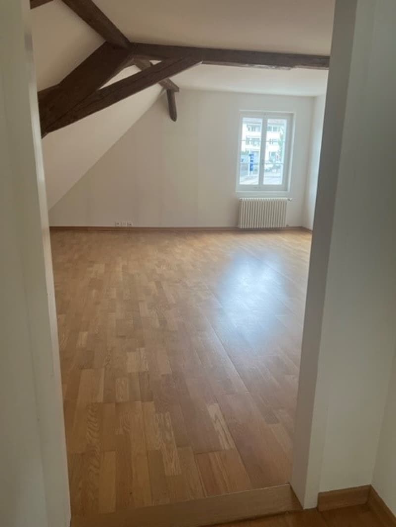 Aussgergewöhnlich Wohnen im historischen Gebäude "Zum Anker" in Erlenbach (9)