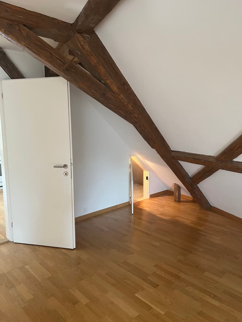 Aussgergewöhnlich Wohnen im historischen Gebäude "Zum Anker" in Erlenbach (7)